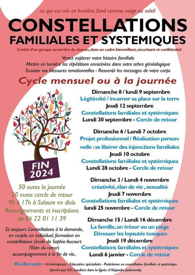 constellations familiales et sytémiques die